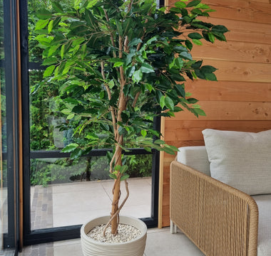 Stijlvol groen in je tuinkamer met Kunstplant Ficus Groen 180.