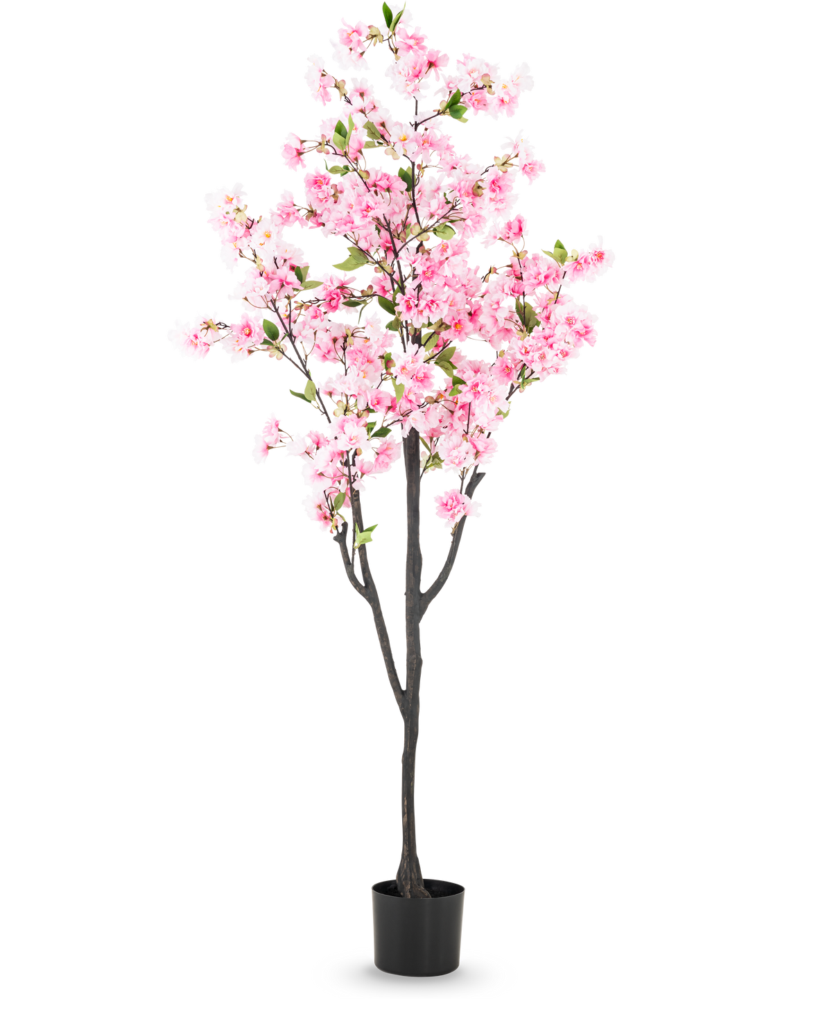 De Kunst Kersenbloesem 180 cm roze heeft roze bloesems en groene bladeren in een kleine zwarte pot, tegen een effen witte achtergrond.