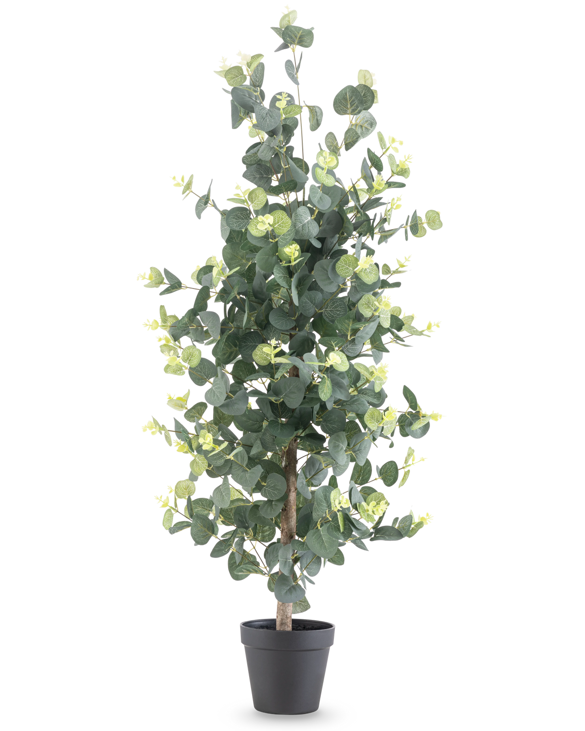 De Kunstplant Eucalyptus 91 cm heeft hoge, realistische ronde groene bladeren en kleine gele knoppen in een zwarte pot, tegen een effen witte achtergrond.