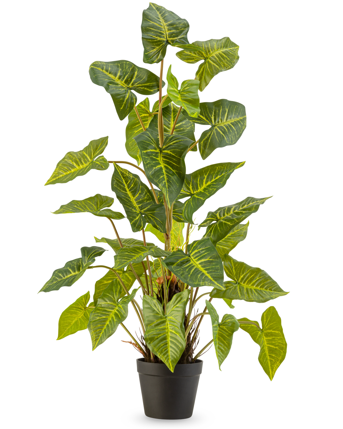 De Kunstplant Trapa Bispinosa 90 cm groen is een potplant met grote, groene, hartvormige bladeren met gele nerven, in een zwarte pot tegen een effen lichte achtergrond.