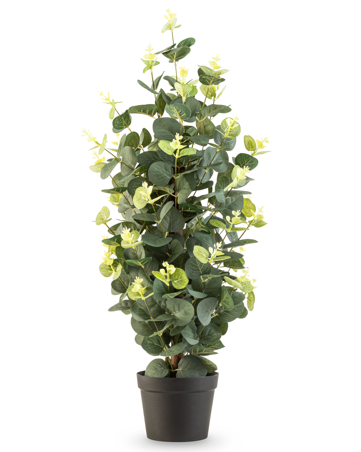 De Kunstplant Eucalyptus 61 cm is een kunstplant in pot met groene bladeren in een eenvoudige zwarte pot, die rechtop staat tegen een witte achtergrond.