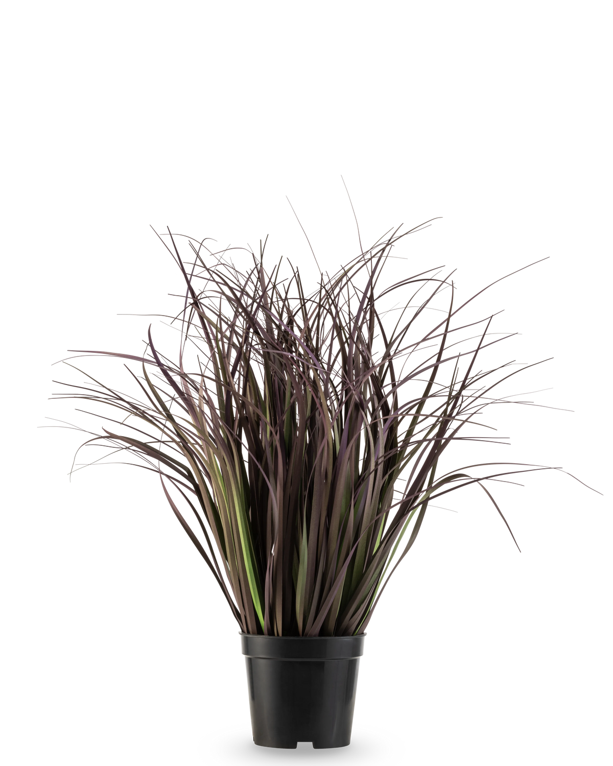De Kunst Grasplant Wild Lawn 50 cm brandvertragend heeft hoge, smalle, donkerpaarse bladeren in een zwarte pot tegen een witte achtergrond-een stijlvolle kunstplant ideaal voor moderne interieurs.