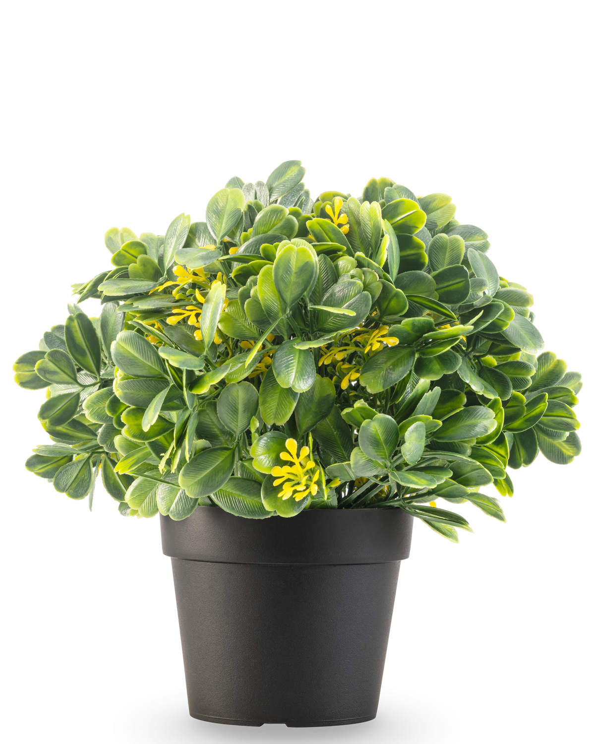 De Kunstplant Groen/geel UV 21 cm heeft groene bladeren en kleine gele bloemen in een effen zwarte pot, tegen een witte achtergrond.