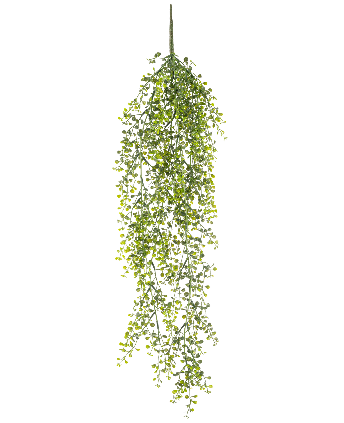De Kunst hangplant Buxus 80 cm is een kunst hangplant met lange, slingerende groene ranken en kleine ronde blaadjes tegen een witte achtergrond.