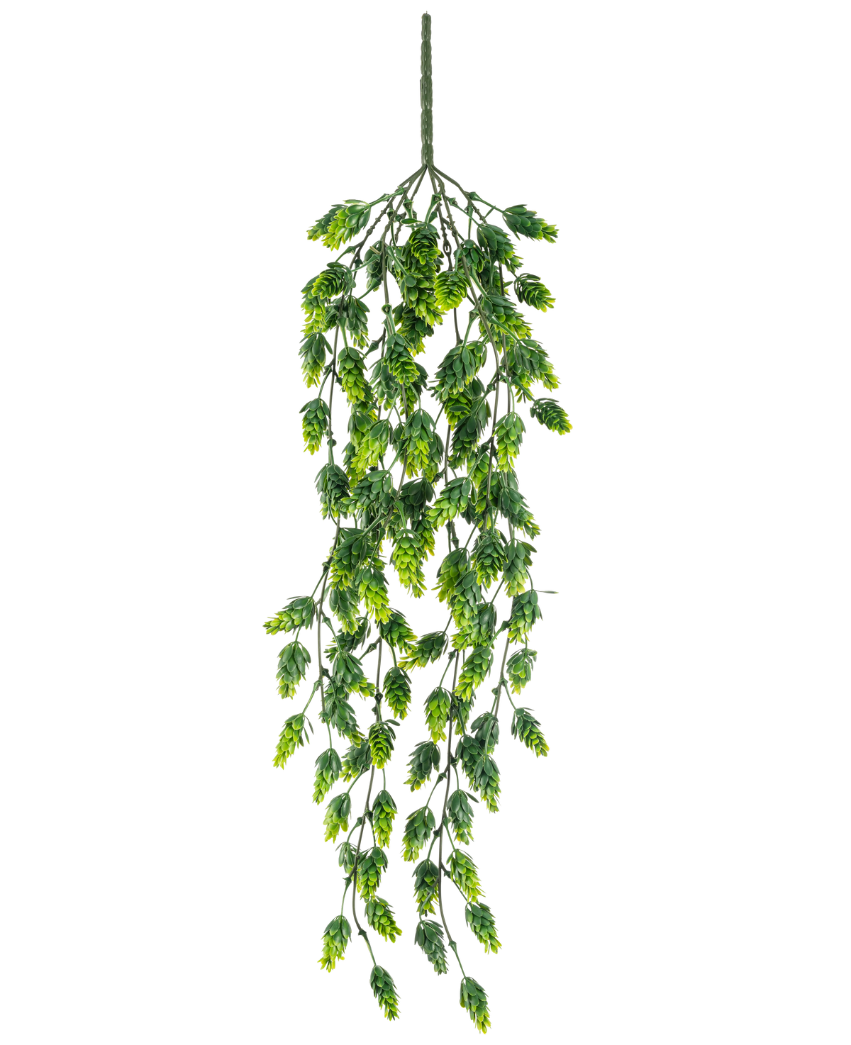 De Kunst hangplant Hop UV 80 cm is een hangende kunstplant met trapsgewijze groene bladeren aan lange, slanke stelen, geïsoleerd afgebeeld op een witte achtergrond.