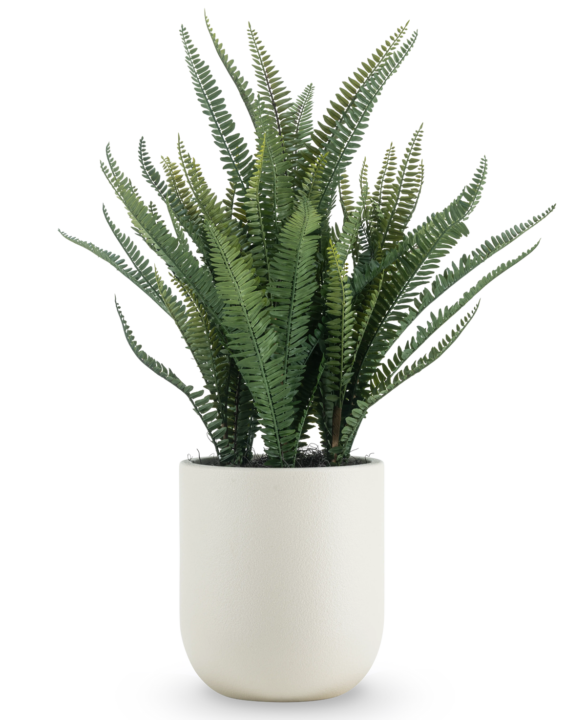 De Kunstplant Bostonvaren 82 cm heeft lange, smalle groene bladeren en wordt geleverd in een eenvoudige ronde witte pot, tegen een effen witte achtergrond.