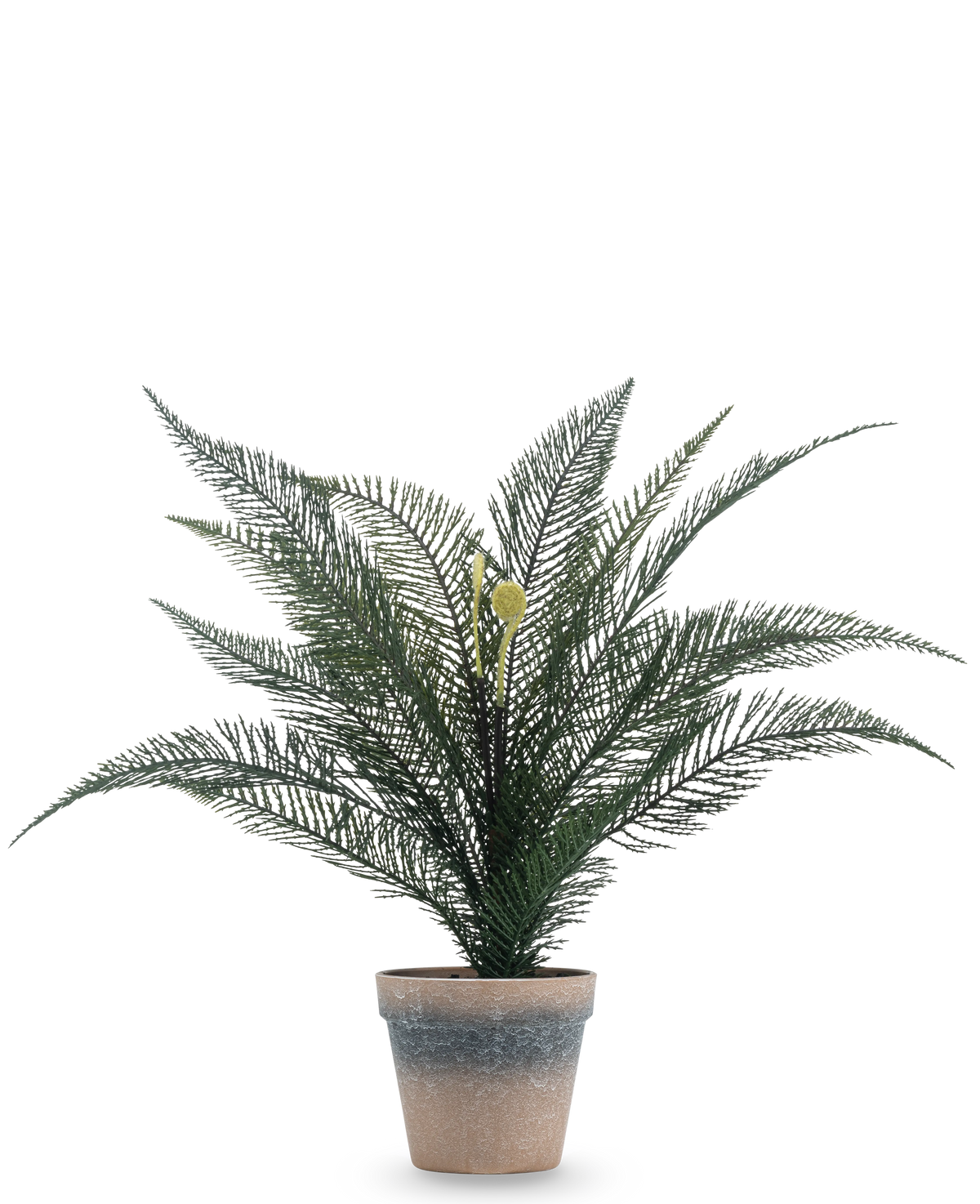 Kunstplant Phoenixvarenblad 39 cm in een eenvoudige, verweerde terracotta pot met weelderige, vederlichte groene bladeren tegen een effen witte achtergrond.