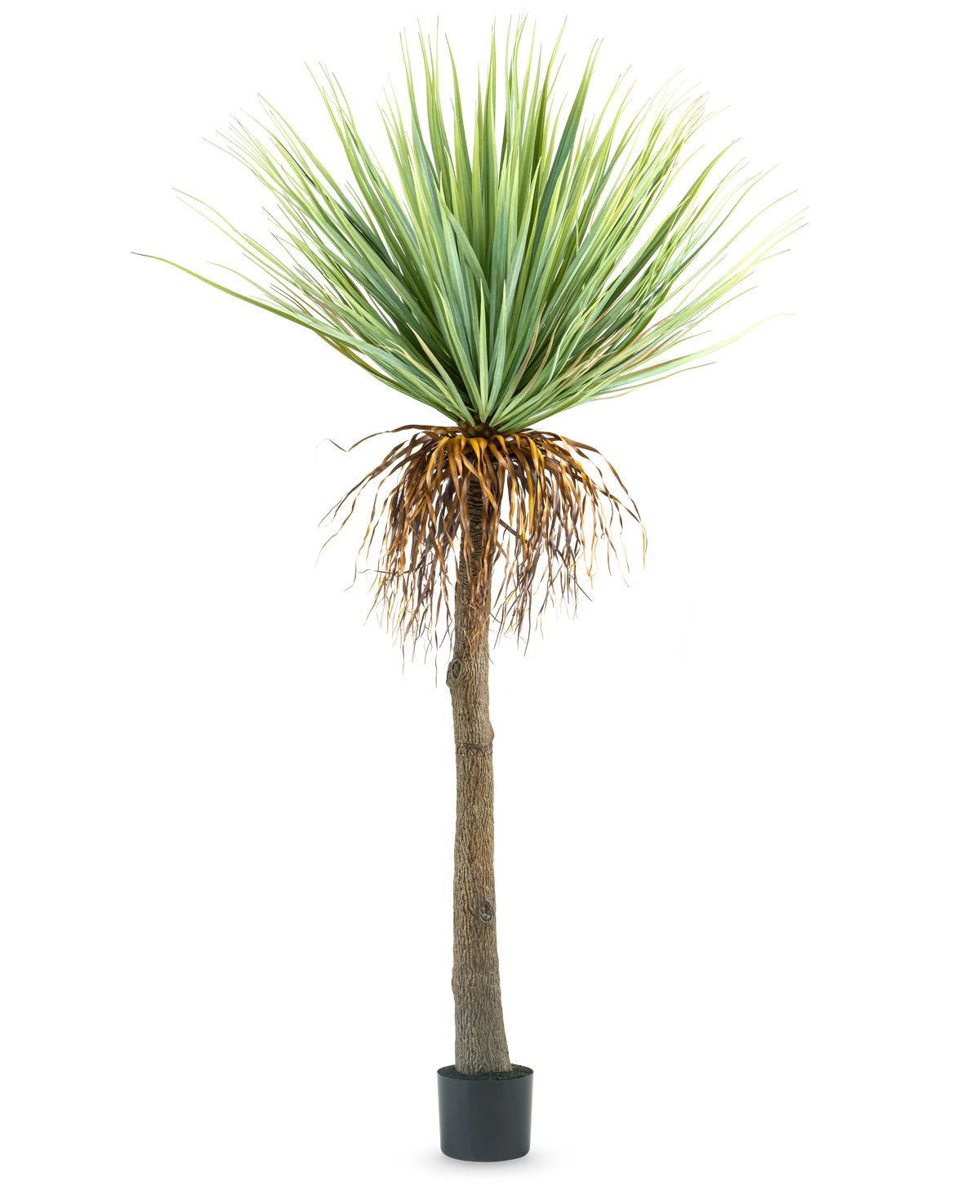De Kunstplant Yucca 153 cm heeft een hoge, ruwe bruine stam met groene stekelige bladeren aan de bovenkant en wat gedroogde bladeren aan de onderkant, tegen een effen witte achtergrond.