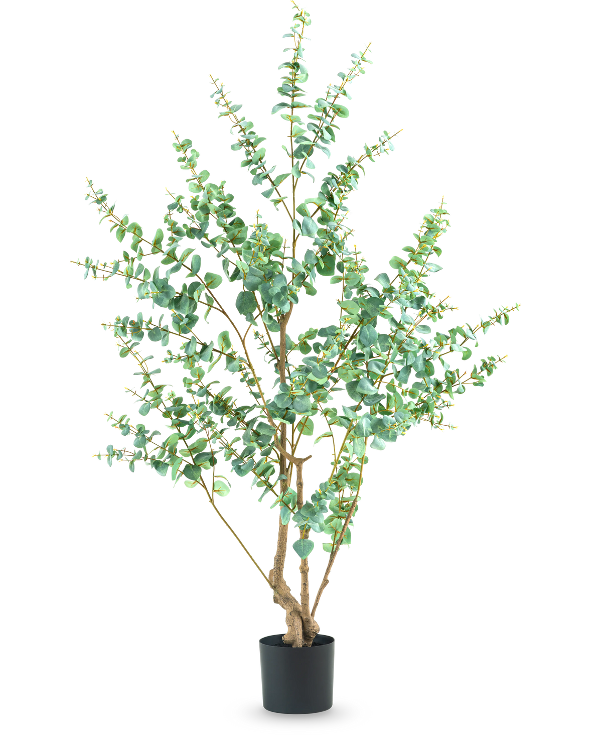 De Kunstplant Eucalyptus 180 cm is een hoge kunstplant met slanke takken en ronde groene bladeren, weergegeven in een eenvoudige zwarte pot tegen een witte achtergrond.