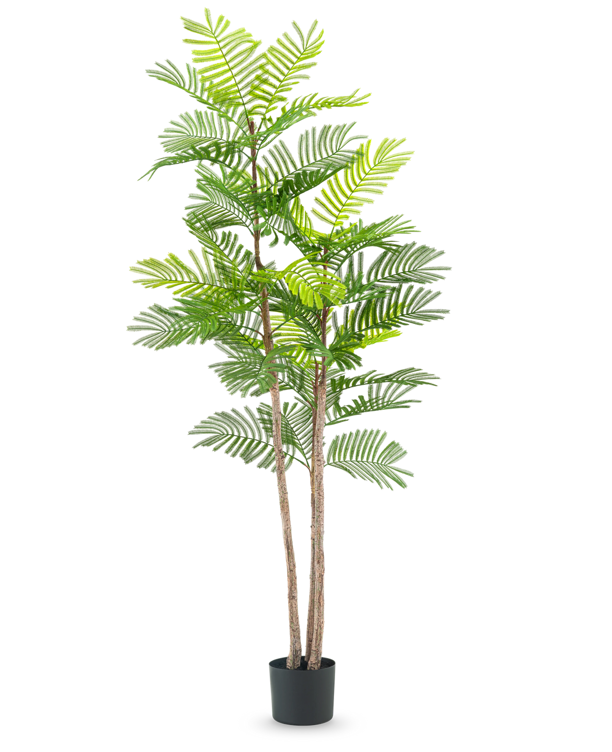 De Kunst Varen plant 150 cm is een hoge kunstplant met slanke bruine stengels en groene varenachtige bladeren, in een kleine zwarte pot tegen een effen witte achtergrond.