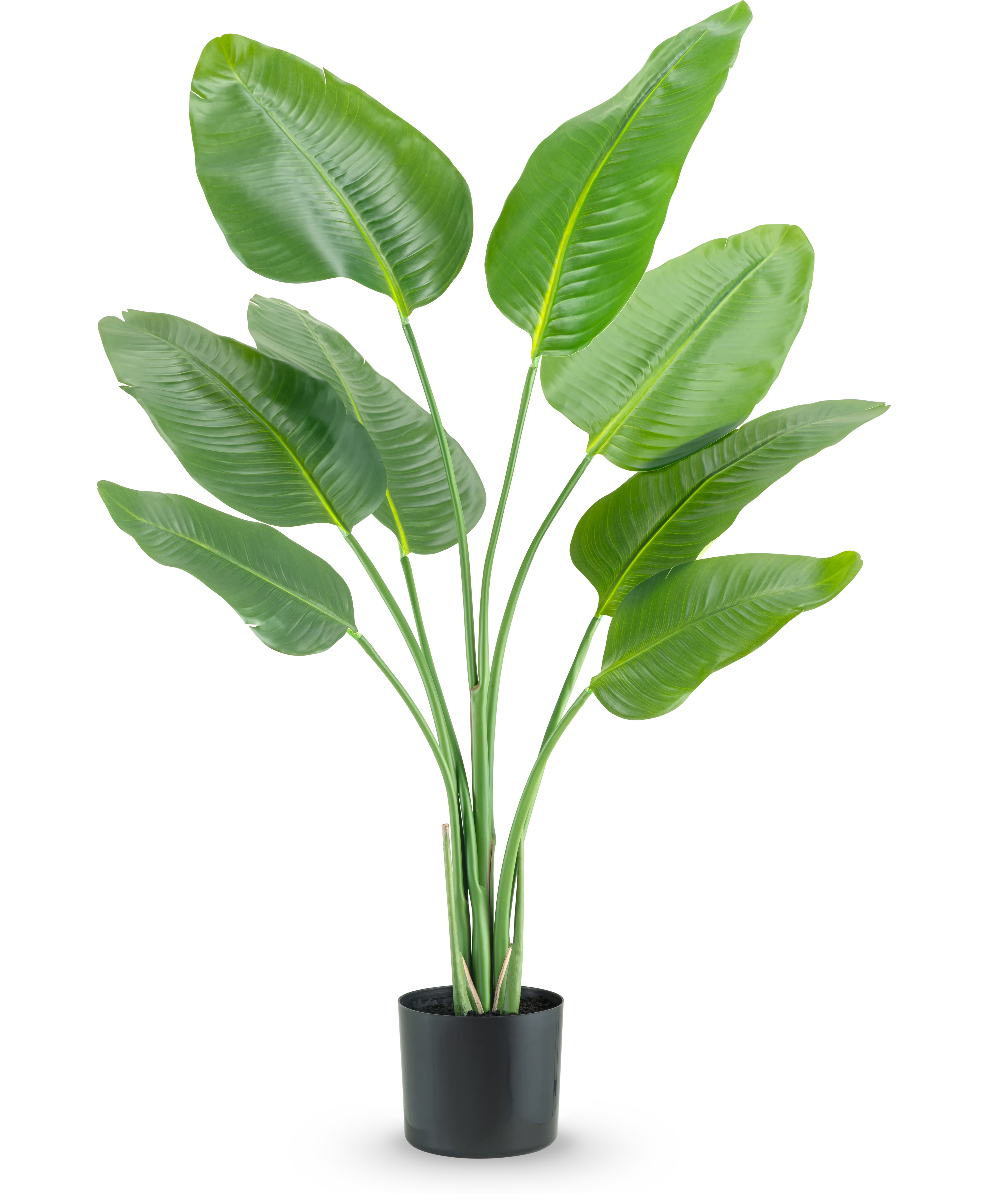 Kunstplant Strelitzia 120 cm –Easyplants Kunstplanten