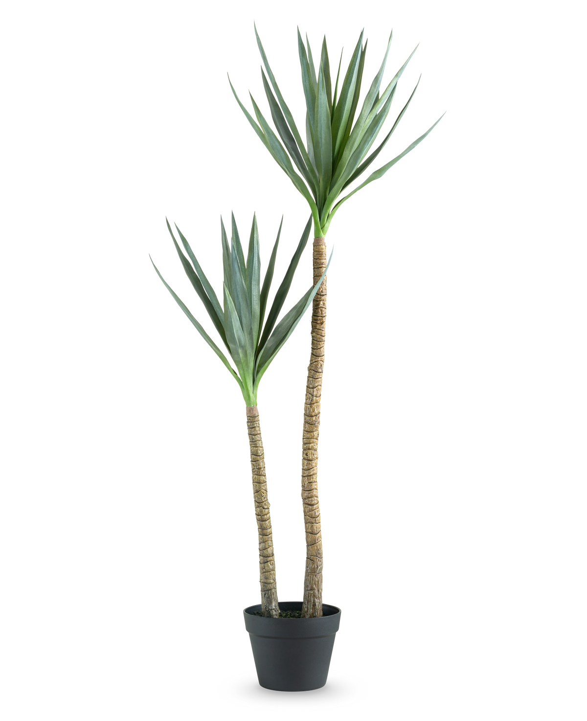 De Kunstplant Heneken 120 cm is een kunstmatige yucca plant met twee hoge, slanke stammen en puntige groene bladeren tegen een effen witte achtergrond.