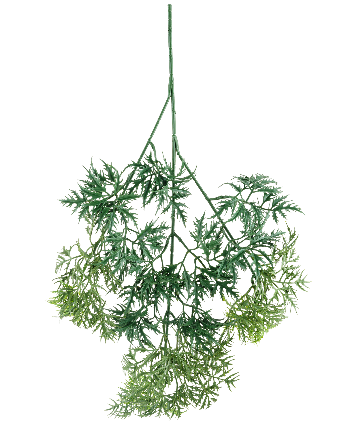 De Kunsttak Ming Aralia-spray 72 cm heeft groene, vederlichte kunstbladeren met fijne, naaldachtige randen in verschillende groene tinten, ondersteboven hangend tegen een witte achtergrond.