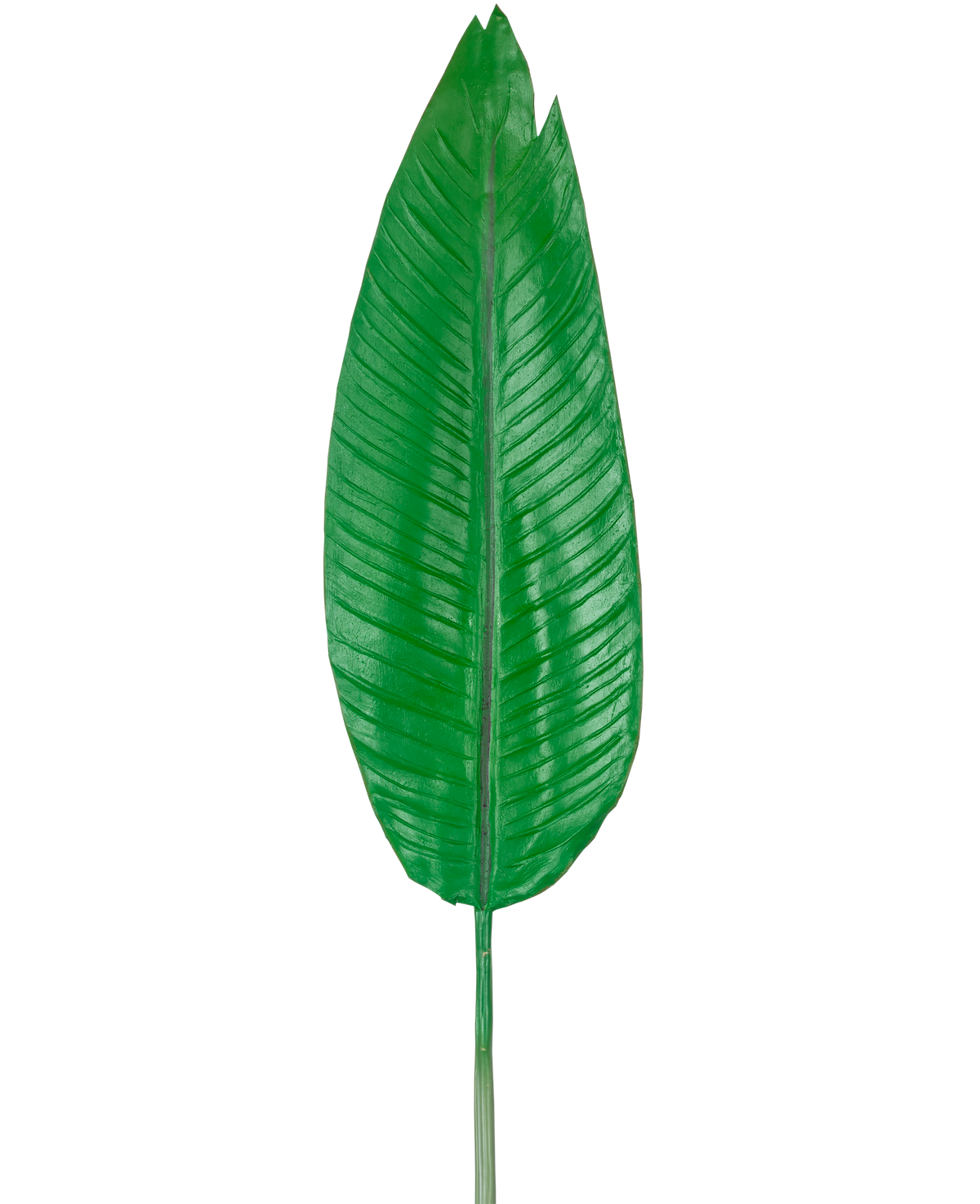 De Kunstblad Strelitzia 110cm is één groot, groen kunstblad met een prominente middennerf en zichtbare zijnerven, afgebeeld tegen een effen witte achtergrond.