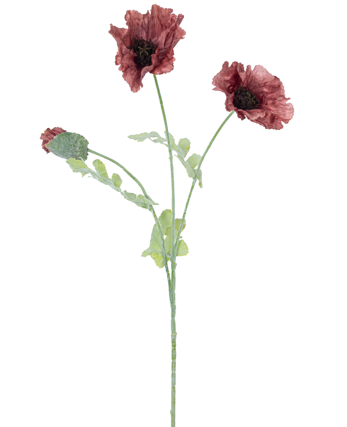 Aquarel illustratie van de Kunstbloem klaproos 73 cm mauve, met drie donkerrode bloemen met groene stengels en bladeren, tegen een effen witte achtergrond.