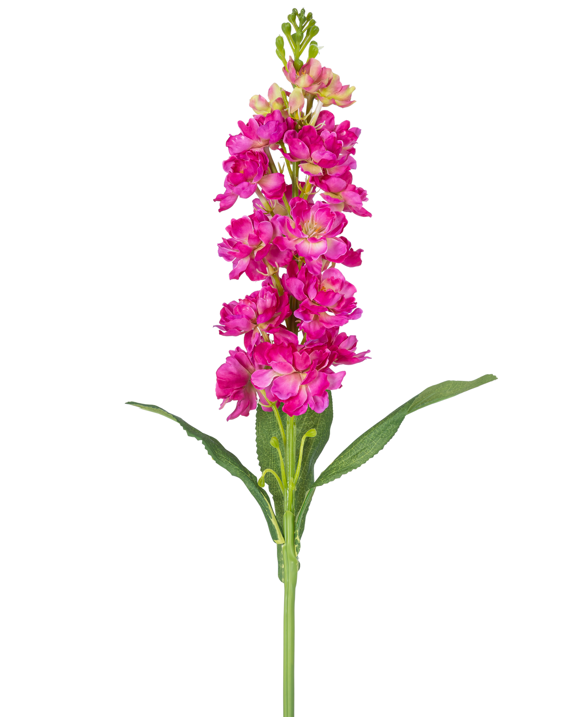 Een enkele Kunstbloem Violier 78 cm fuchsia met meerdere levendige roze bloesems en groene bladeren tegen een effen witte achtergrond.