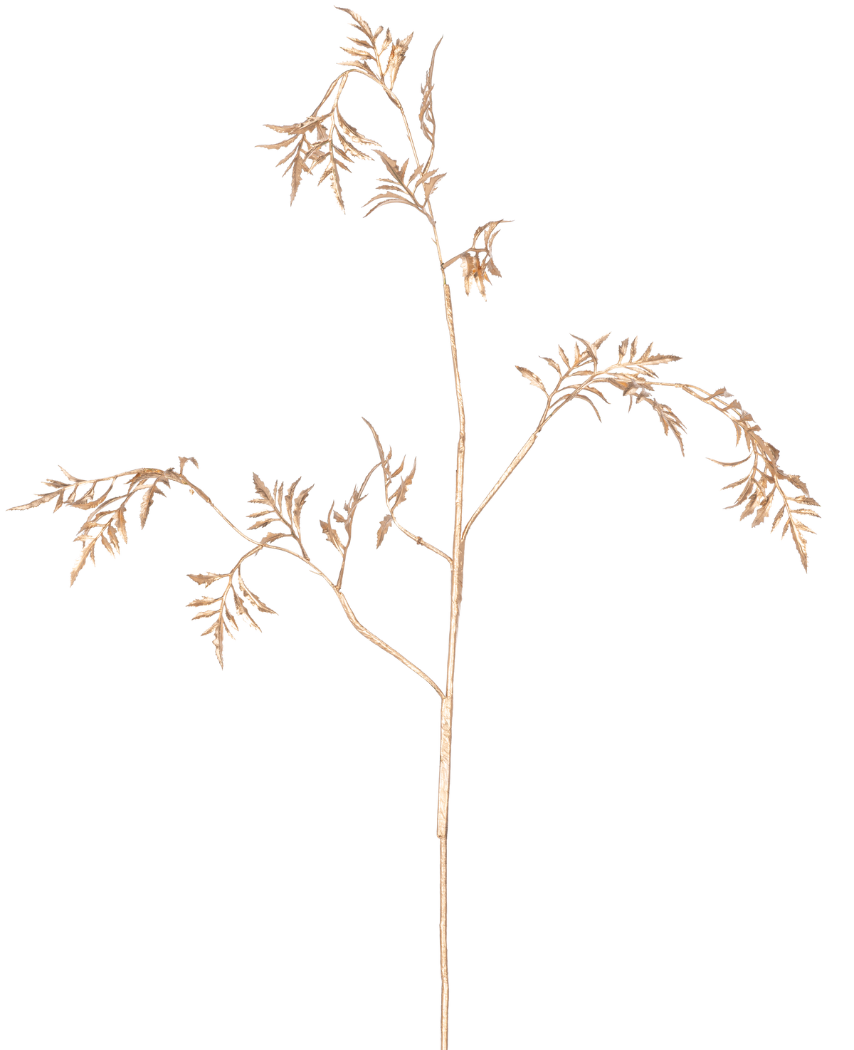 Het Kunsttak Varen Mini 75 cm goud heeft delicate, lichtbruine stengels met dunne, vederlichte blaadjes die zich vertakken tegen een effen witte achtergrond.