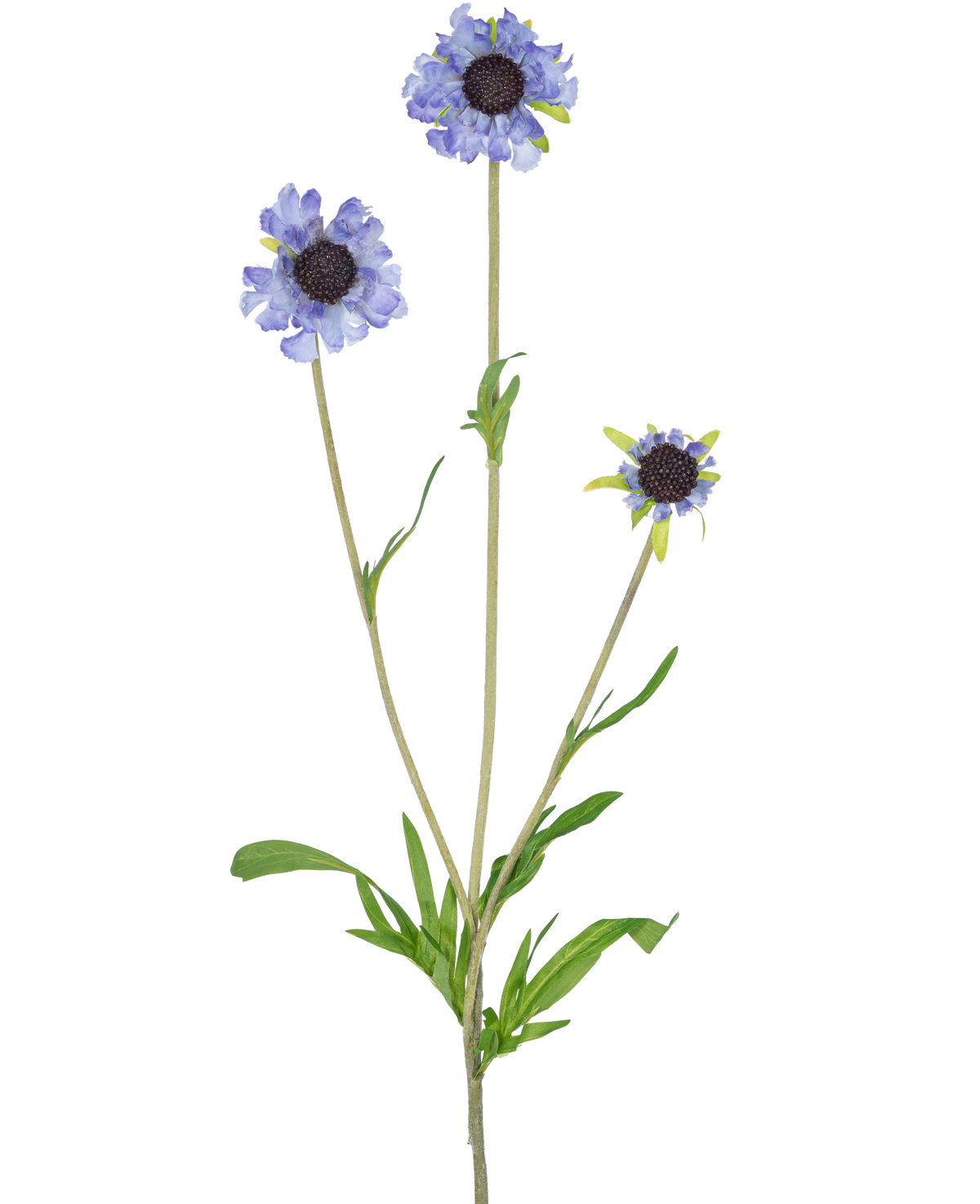 De Kunstbloem Scabiosa 63 cm blauw heeft een enkele groene stengel met drie takken, elk bekroond met een licht paarsblauwe, margrietachtige bloem en donkere, in het midden langwerpige groene bladeren, allemaal tegen een effen witte achtergrond.