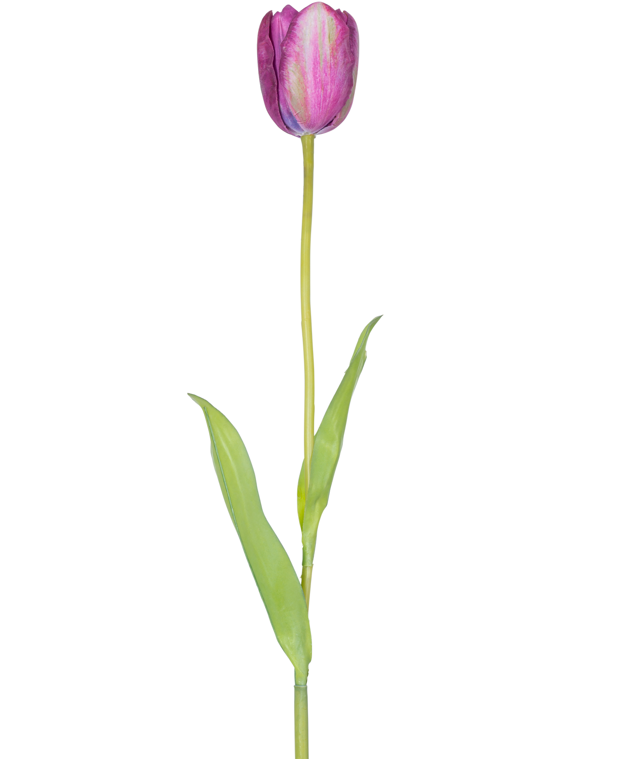 Een Kunstbloem Franse Tulp 60 cm paars, een enkele paarse tulp met groene bladeren en een lang staal, geïsoleerd op een witte achtergrond.