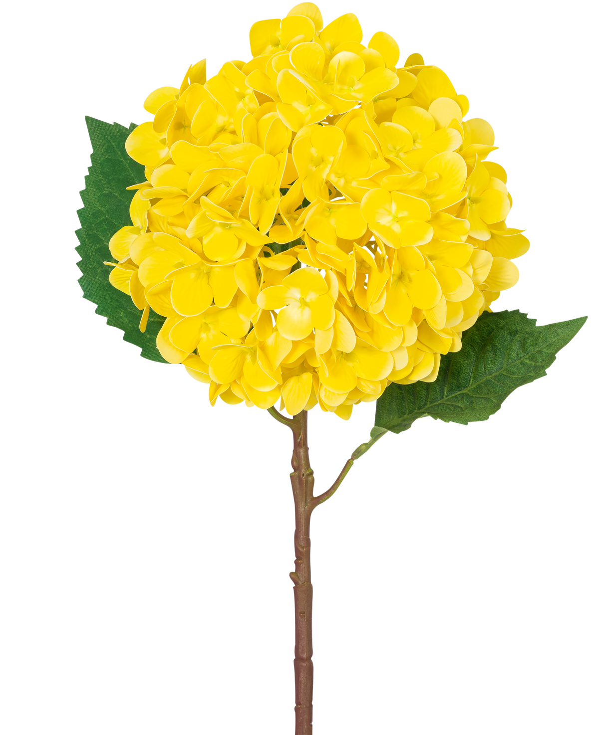 De Kunstbloem Hortensia Real Touch geel 58 cm heeft een enkele gele hortensia met gelaagde bloemblaadjes, twee grote groene bladeren en een bruine steel, tegen een effen witte achtergrond.