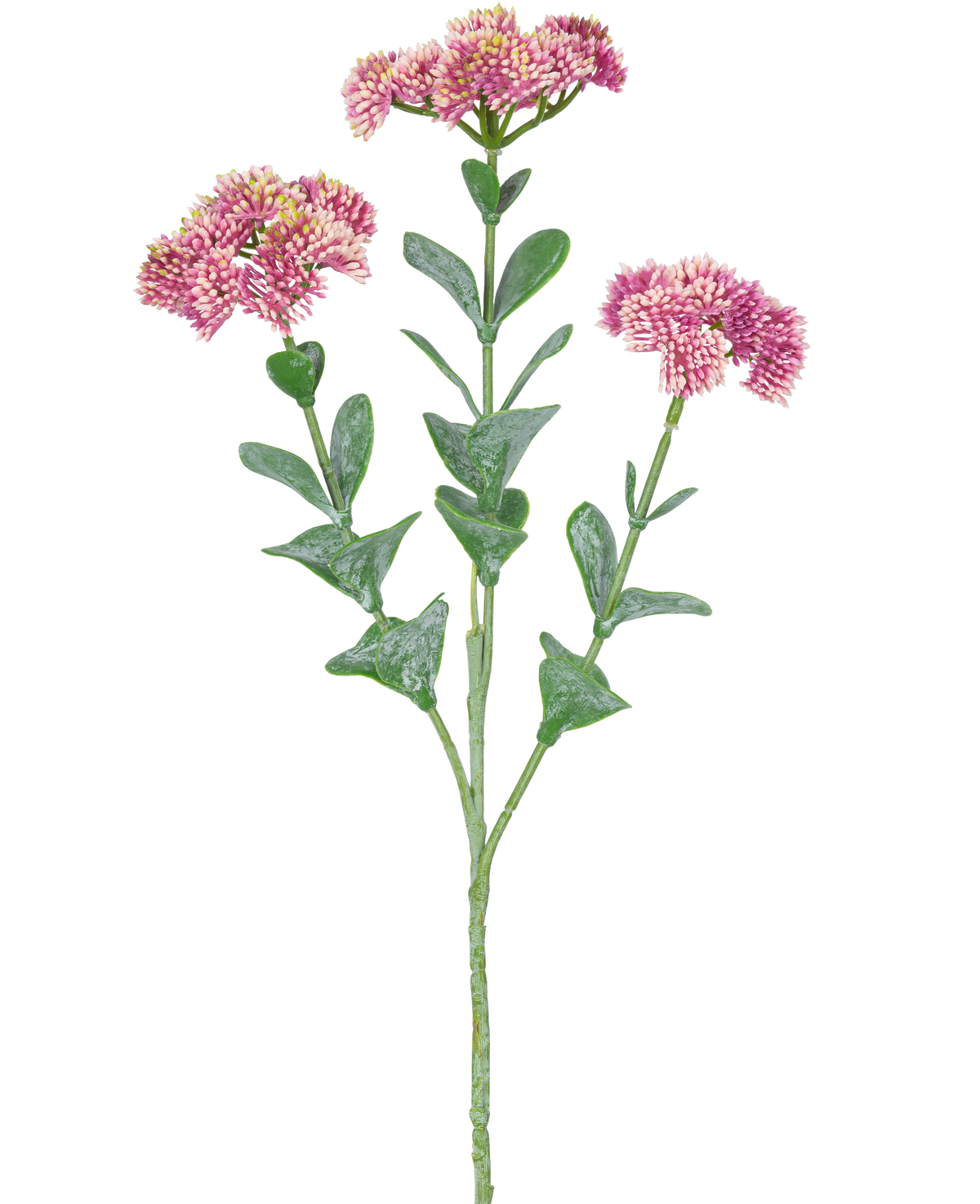 De Kunsttak Sedum 56 cm lichtroze heeft een enkele groene stengel met meerdere takken, elk versierd met trosjes kleine, lichtroze bloemen met afgeronde bloemblaadjes, tegen een witte achtergrond.