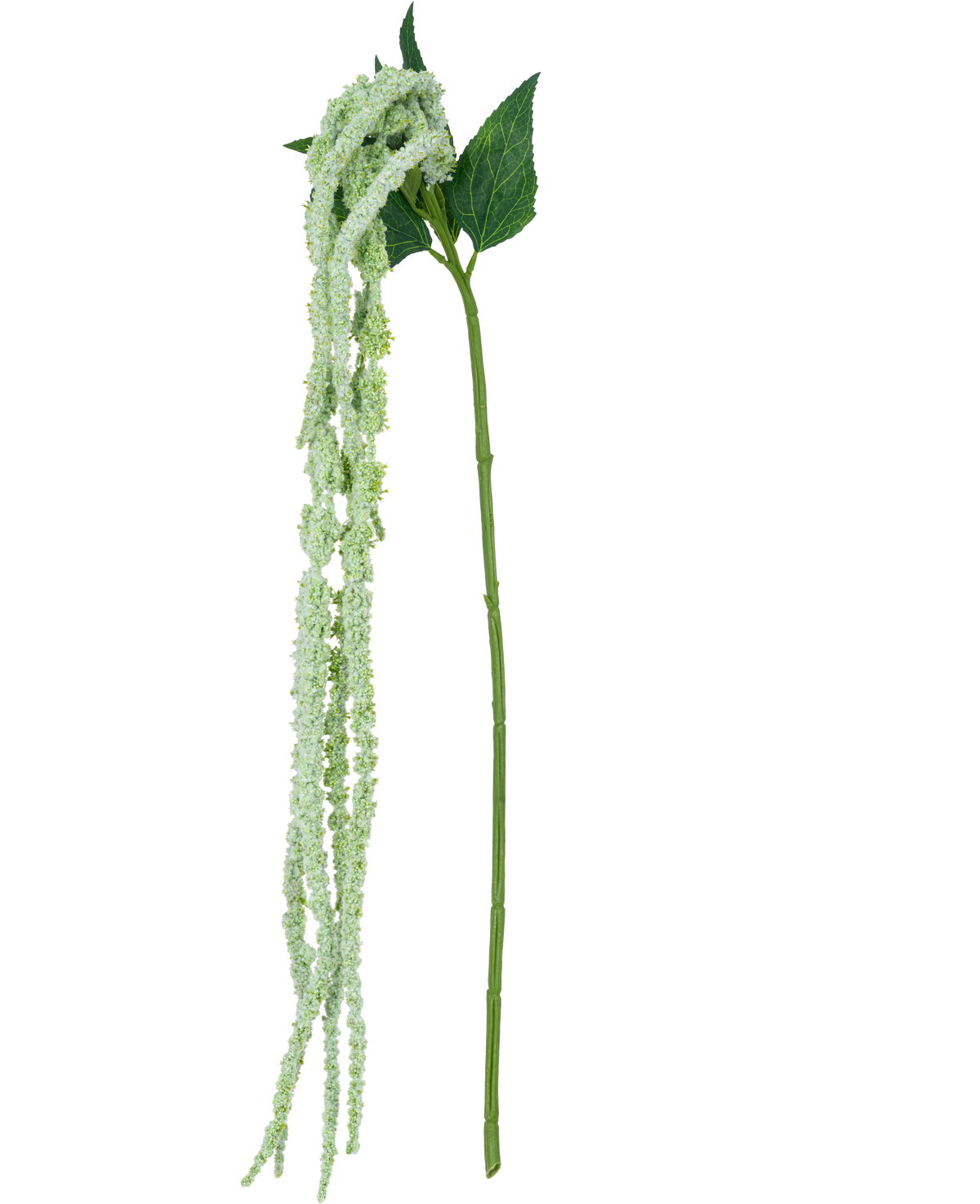 De Kunstbloem Amaranthus 124 cm groen heeft een enkele groene stengel met lange, hangende trossen kleine, lichtgroene bloemen en twee grote groene bladeren, tegen een witte achtergrond.