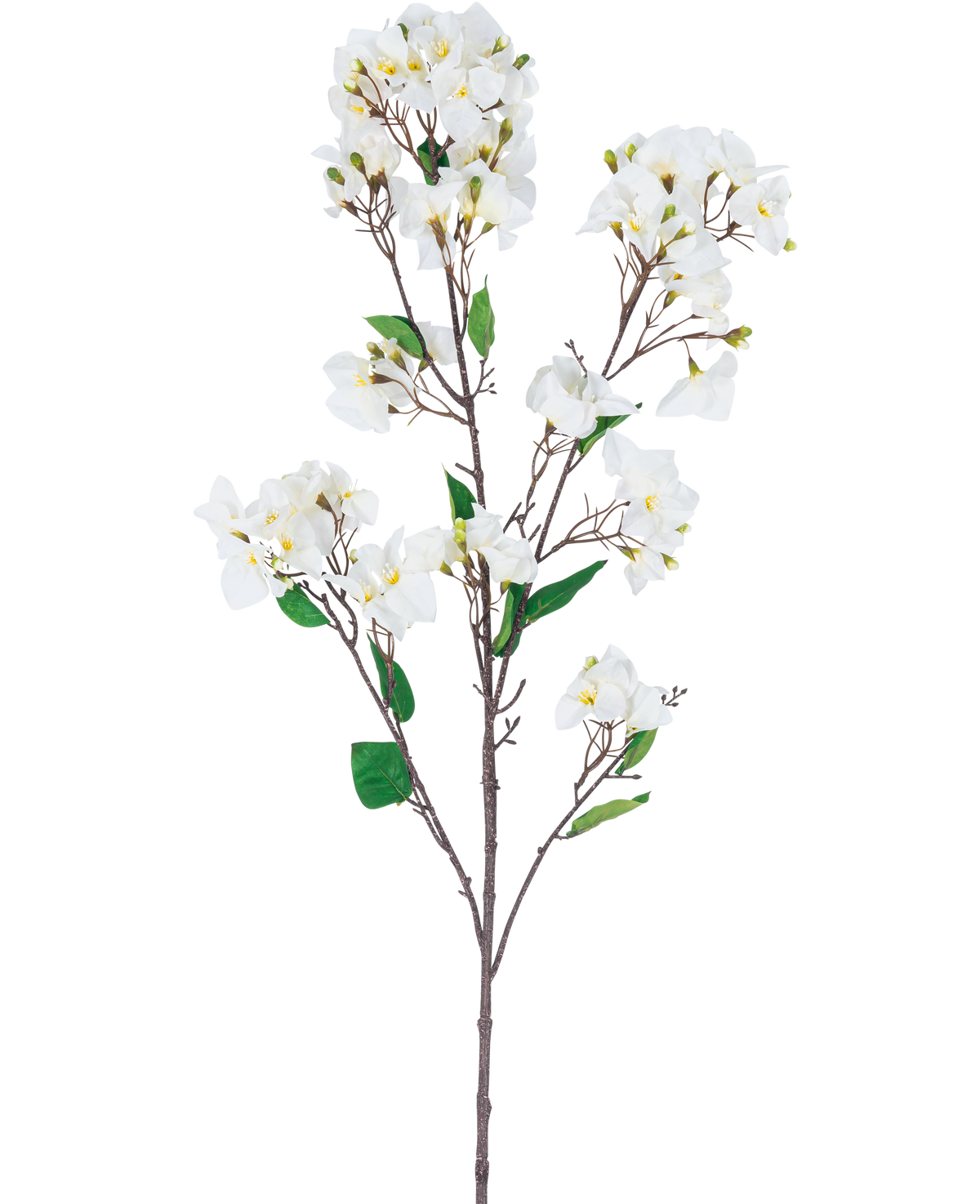 De Kunstbloem Bougainvillea 120 cm wit is een kunstbloemenstengel met meerdere bruine takken, groene bladeren en trossen witte bloemen met gele hartjes, afgebeeld tegen een witte achtergrond.