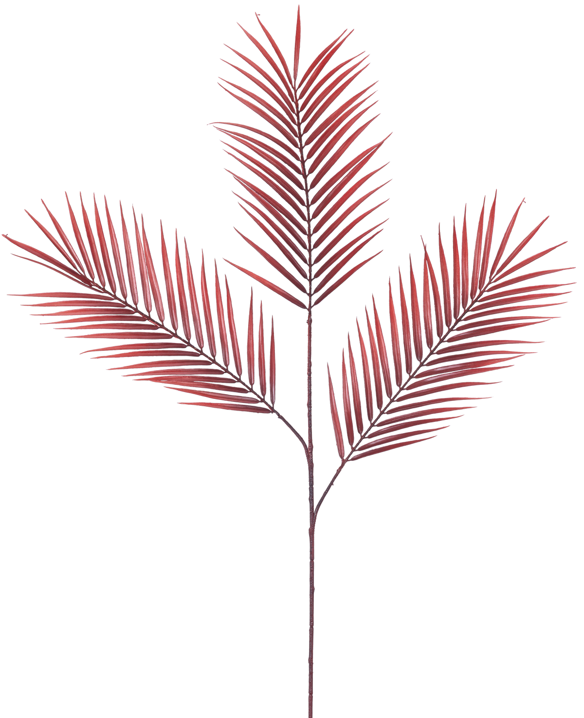 De Kunsttak Varen 100 cm rood heeft vijf lange, smalle rode palmbladeren die zich verspreiden vanaf een enkele steel, tegen een effen witte achtergrond.
