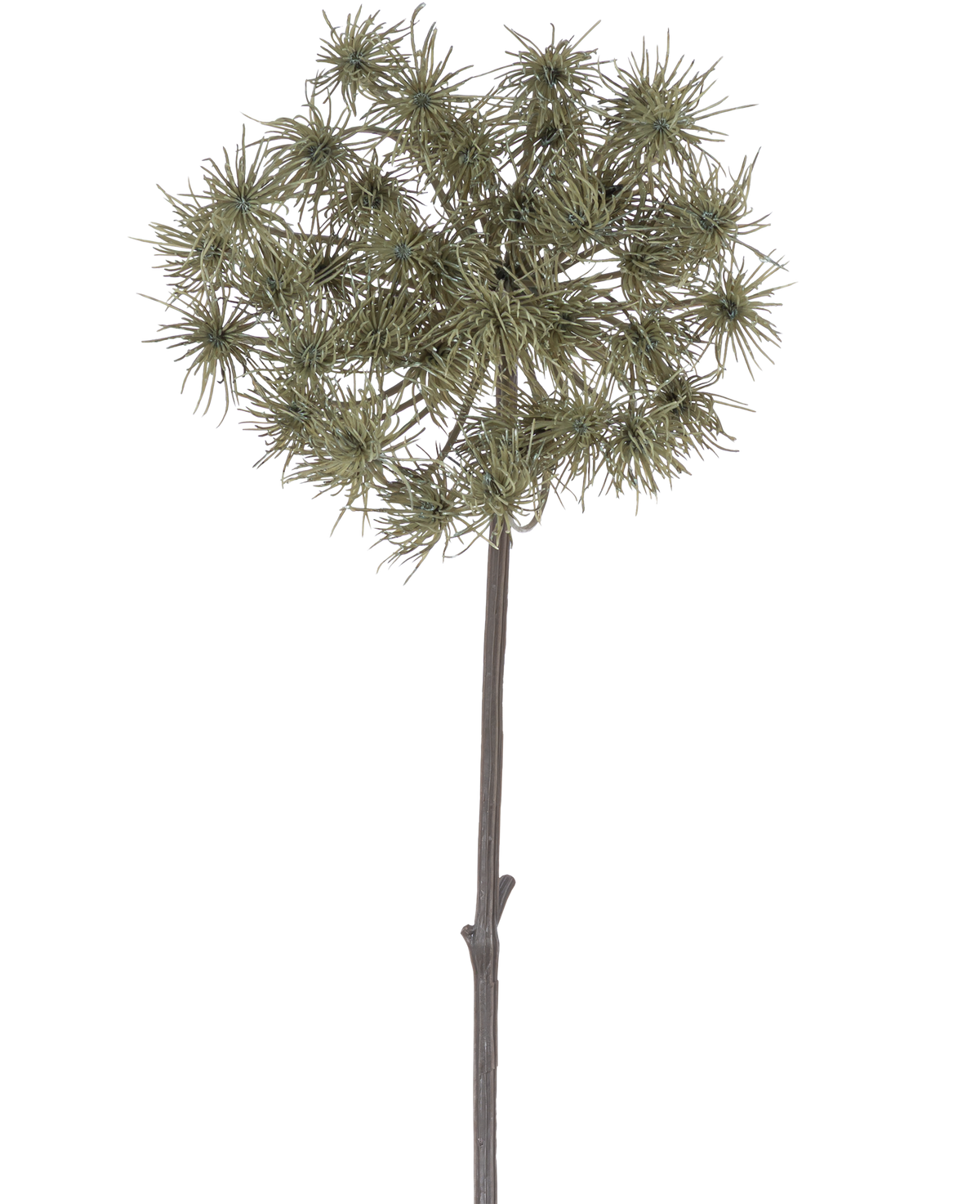 De Kunstbloem Berenklauw 100 cm is een enkele kunststengel met trosjes piekerige, groengrijze bloemhoofdjes, rechtopstaand tegen een effen witte achtergrond.