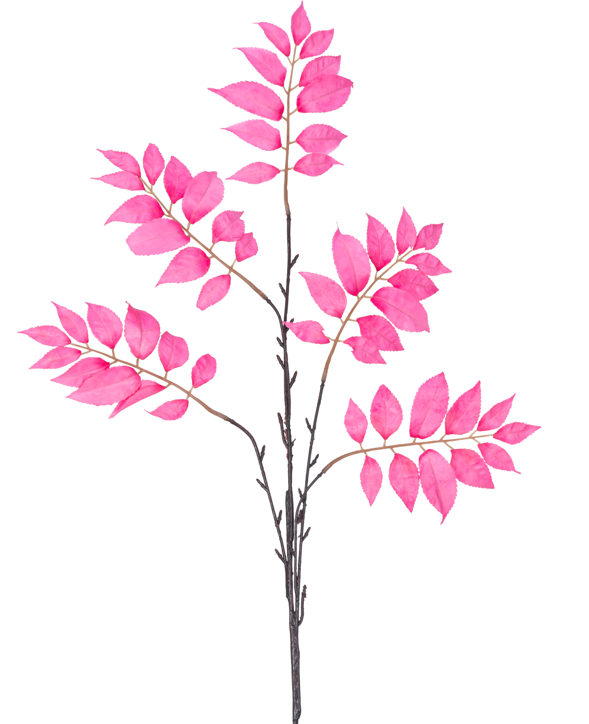 De Kunsttak Varen vertakt 83 cm roze heeft een enkele donkerbruine stengel die zich vertakt in meerdere kleinere stengels, elk versierd met clusters van levendige roze bladeren op een witte achtergrond.