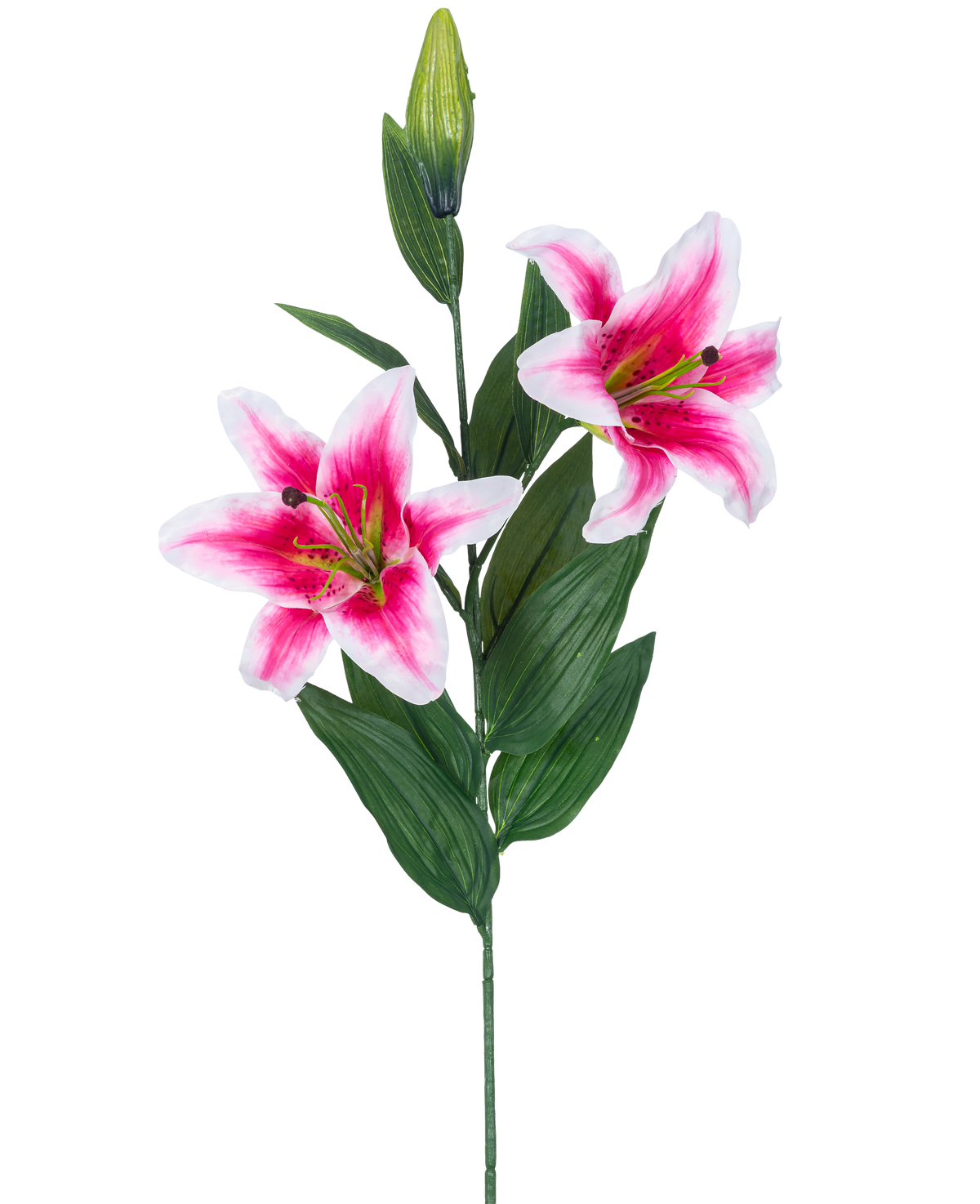 De Kunstbloem Lelie 85 cm roze heeft twee bloeiende roze en witte lelies, een gesloten knop en een aantal lange groene bladeren, prachtig tegen een witte achtergrond.