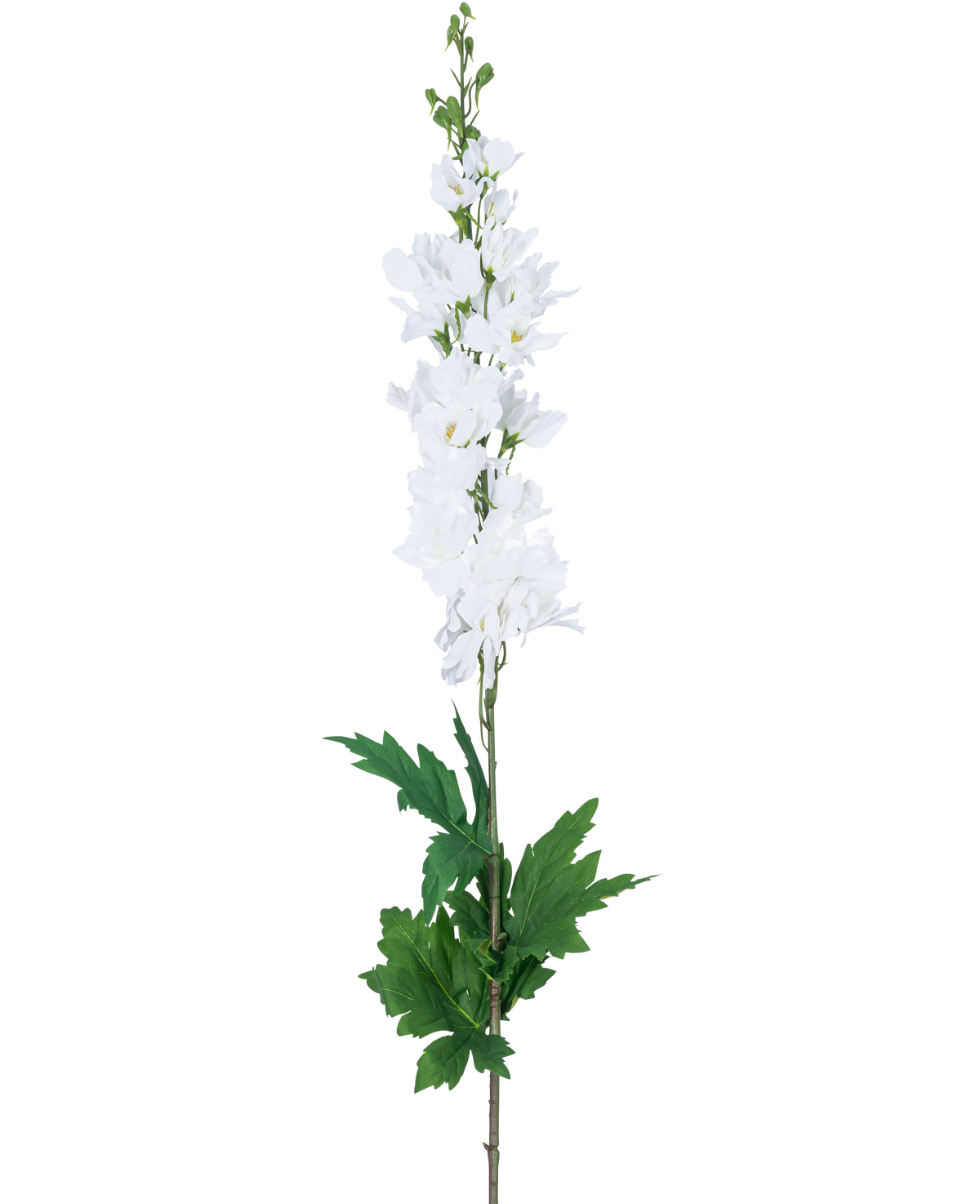 Een Kunstdelphinium Real Touch Wit 90cm met een lange steel met witte ridderspoor bloemen en groene bladeren, geïsoleerd tegen een effen witte achtergrond.