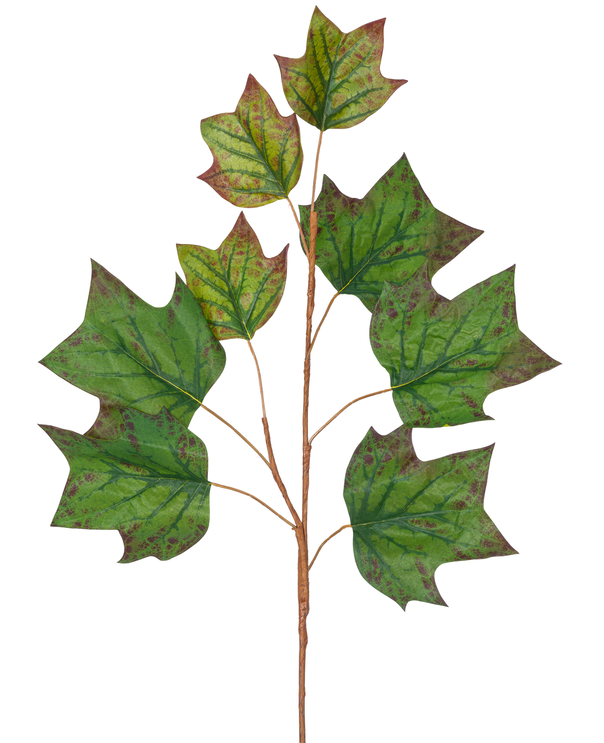 Een tak van Kunsttak Eikenblad 84 cm groen met verschillende grote, groene, eikvormige bladeren met bruinrode vlekken tegen een effen witte achtergrond.