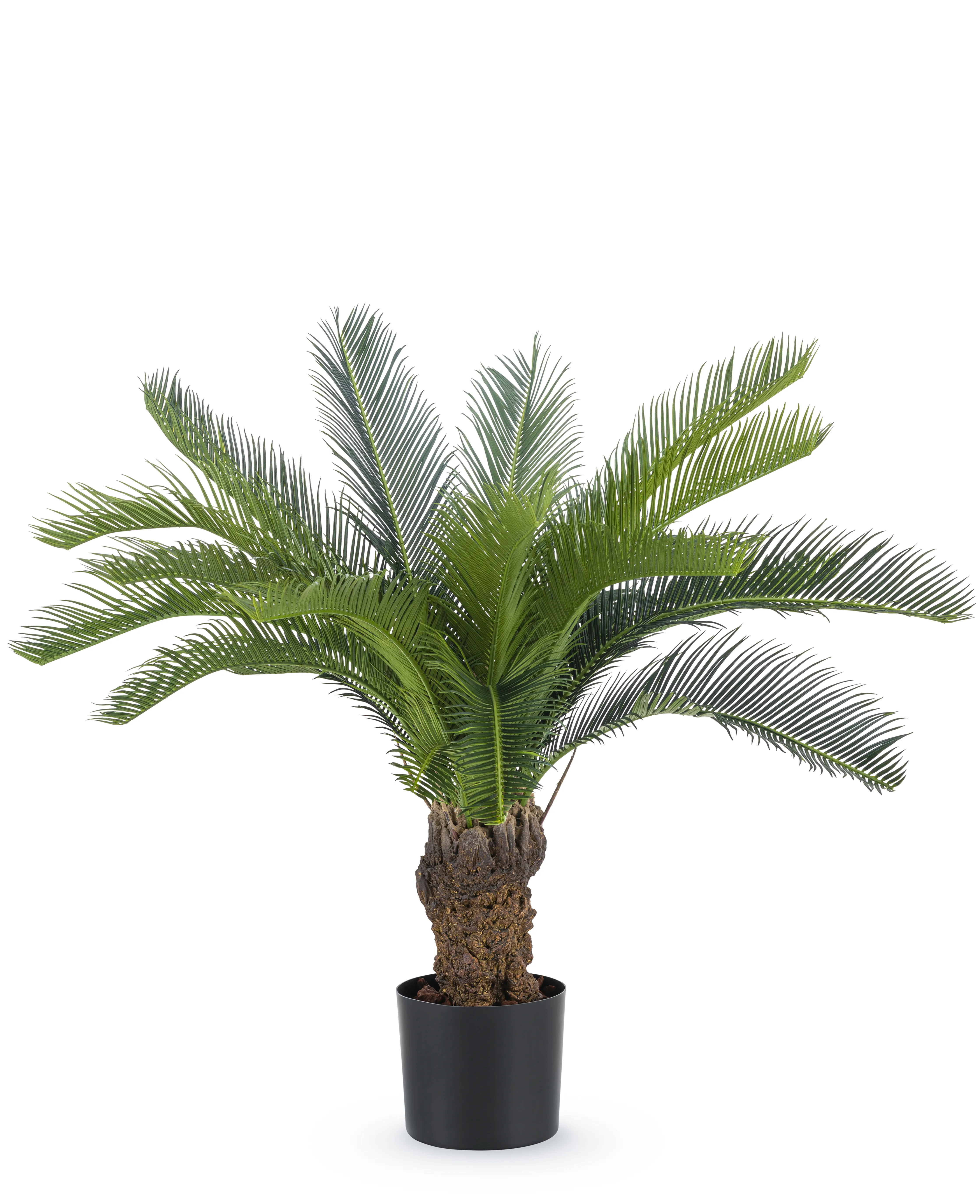 Vind palmboom kunst in Woonaccessoires | Kunstplanten en Kunstbloemen op Vind palmboom kunst in Woonaccessoires | Kunstplanten en Kunstbloemen op