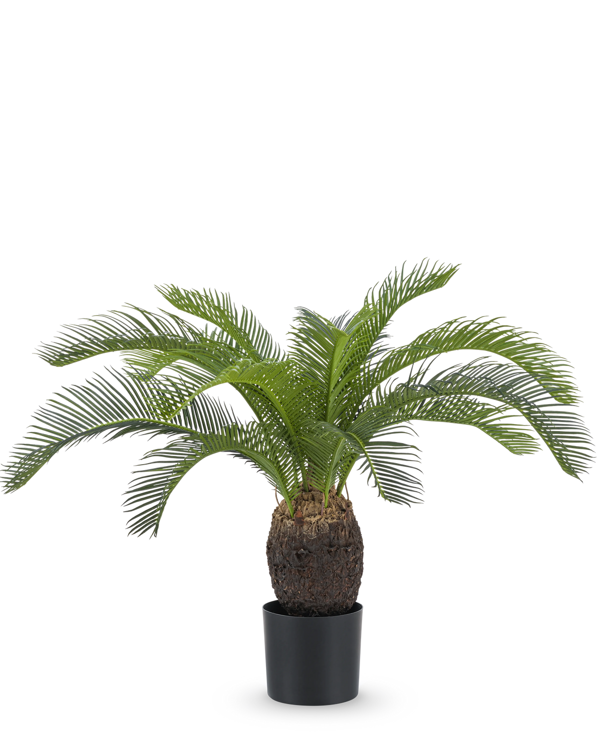 De Kunstplant Baby Cycas Palm 60 cm heeft lange, gebogen groene bladeren en een dikke, bruine stam met textuur, gepresenteerd in een pot tegen een effen witte achtergrond.