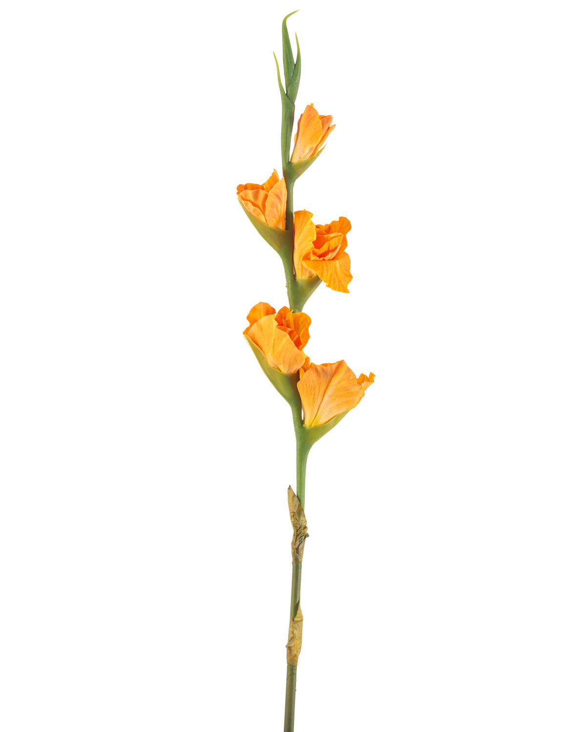 De Kunstbloem Gladiolen 83 cm oranje heeft een lange groene steel met meerdere oranje gladioolbloemen op een witte achtergrond.