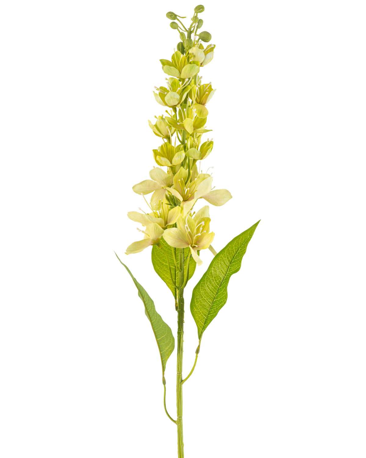 De Kunstbloem Aziatische appel 84 cm groen heeft een enkele hoge stengel met meerdere lichtgele bloemen en langwerpige groene bladeren, afgebeeld tegen een witte achtergrond.