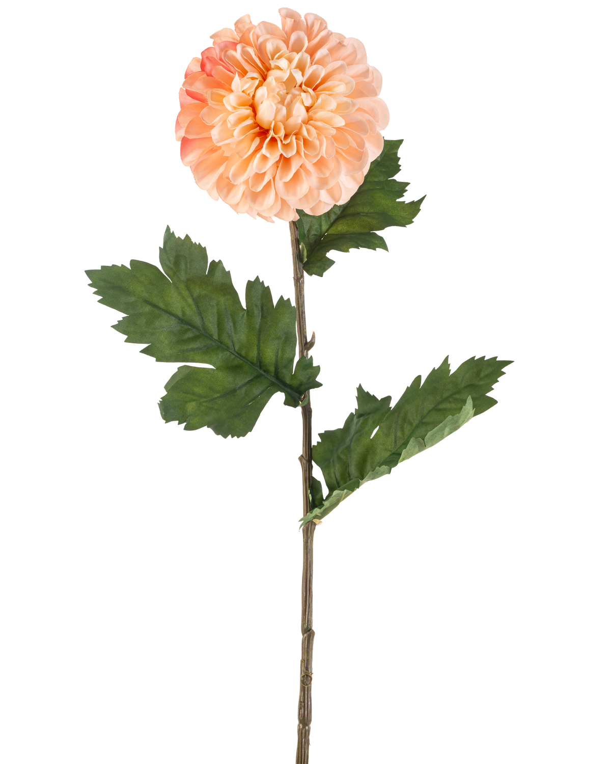 De Kunstbloem Dahlia 75 cm perzik heeft een perzikkleurige dahlia met gelaagde bloemblaadjes en drie trossen gekartelde groene bladeren op een lange steel, afgebeeld tegen een witte achtergrond.