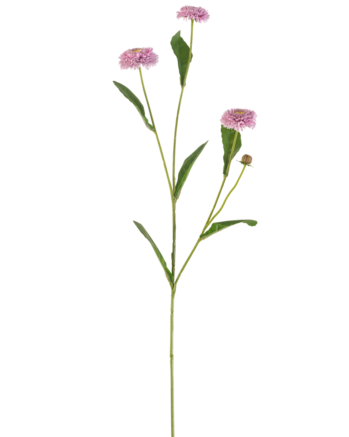 De Kunstbloem Zomeraster 57 cm mauve heeft een lange, slanke groene steel met drie mauve, margrietachtige bloemen en langwerpige groene bladeren die zich vertakken, alles tegen een effen witte achtergrond.