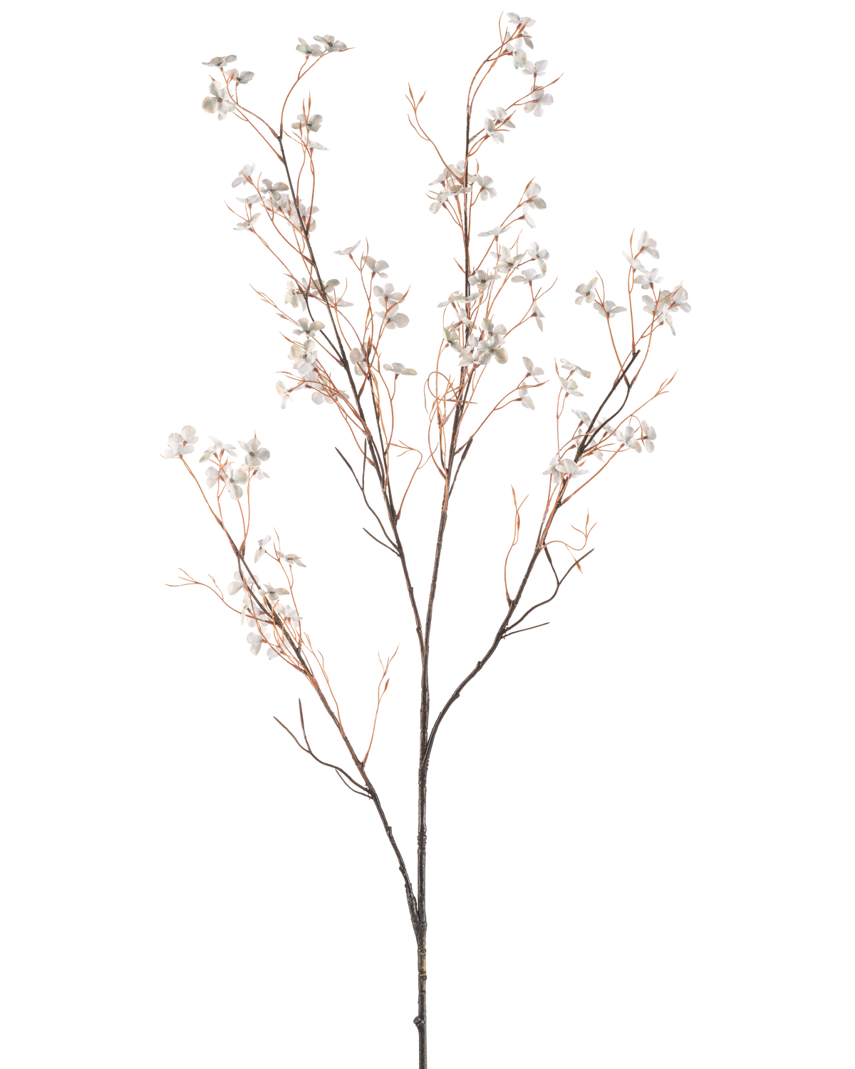 Een Kunstbloem Bloemen 130 cm lichtblauw heeft tere kunsttakken met dunne bruine stelen en kleine lichtblauwe bloemen tegen een effen witte achtergrond.