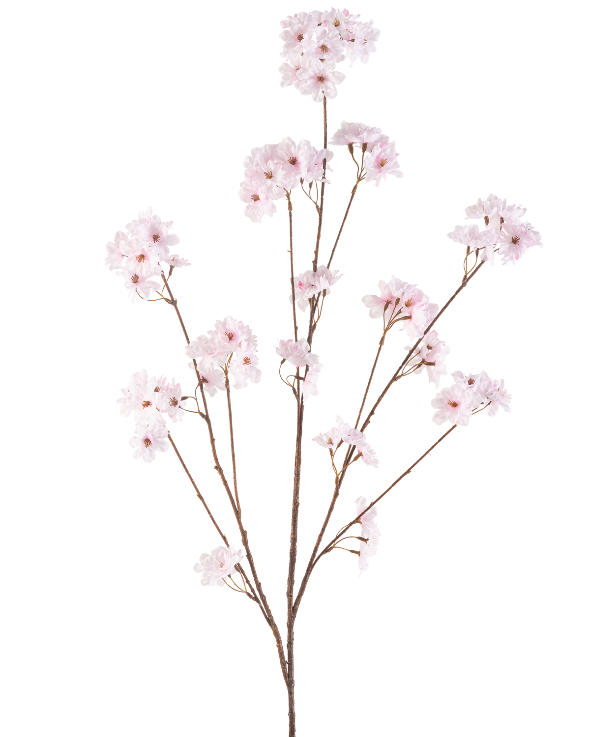 De Kunstbloem Kersenbloesem 130 cm lichtroze heeft meerdere dunne stelen met trosjes tere lichtroze kersenbloesems, prachtig gerangschikt en geïsoleerd op een witte achtergrond.