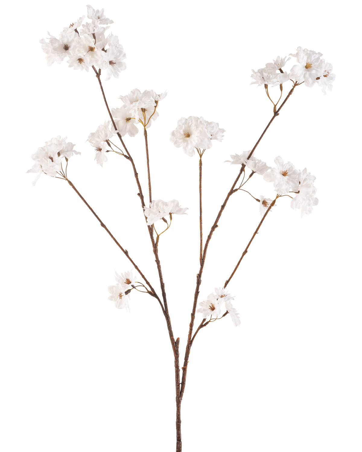 De Kunstbloem Kersenbloesem 114 cm crème heeft een bruine steel die zich vertakt in kleinere stelen, elk versierd met delicate kunstbloemen in een roomwitte tint, tegen een effen witte achtergrond.
