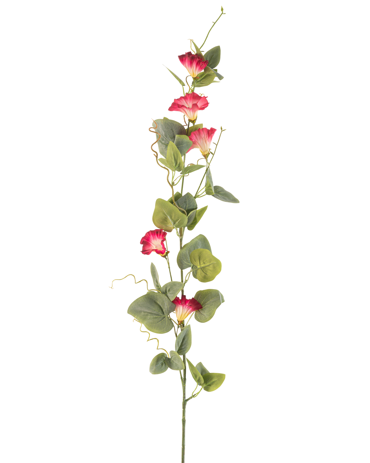 Een enkele steel van Kunstbloem Winde 122 cm rood, met verschillende rode kunstbloemen en groene bladeren tegen een effen witte achtergrond.