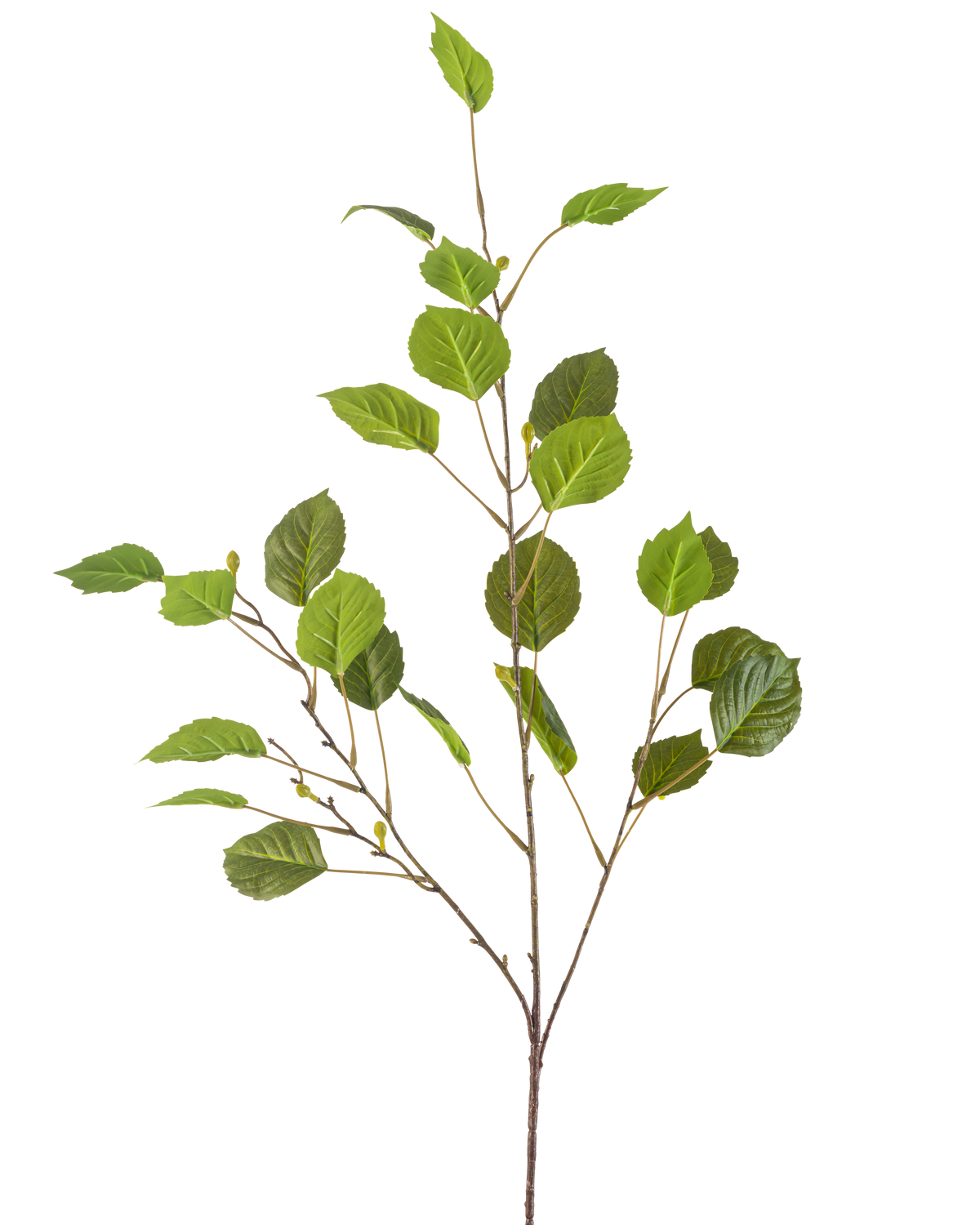 De Kunsttak 118 cm groen is een enkele dunne tak met meerdere groene bladeren en kleine knoppen, geïsoleerd op een witte achtergrond.