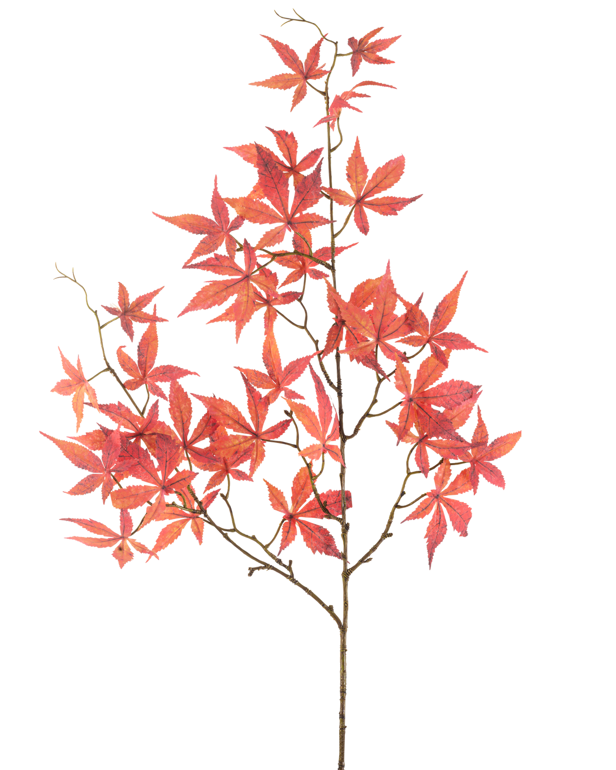Het Kunstbloem Esdoornblad 109 cm rood heeft meerdere dunne takjes versierd met levendige rode, stervormige esdoornbladeren, prachtig weergegeven tegen een effen witte achtergrond.