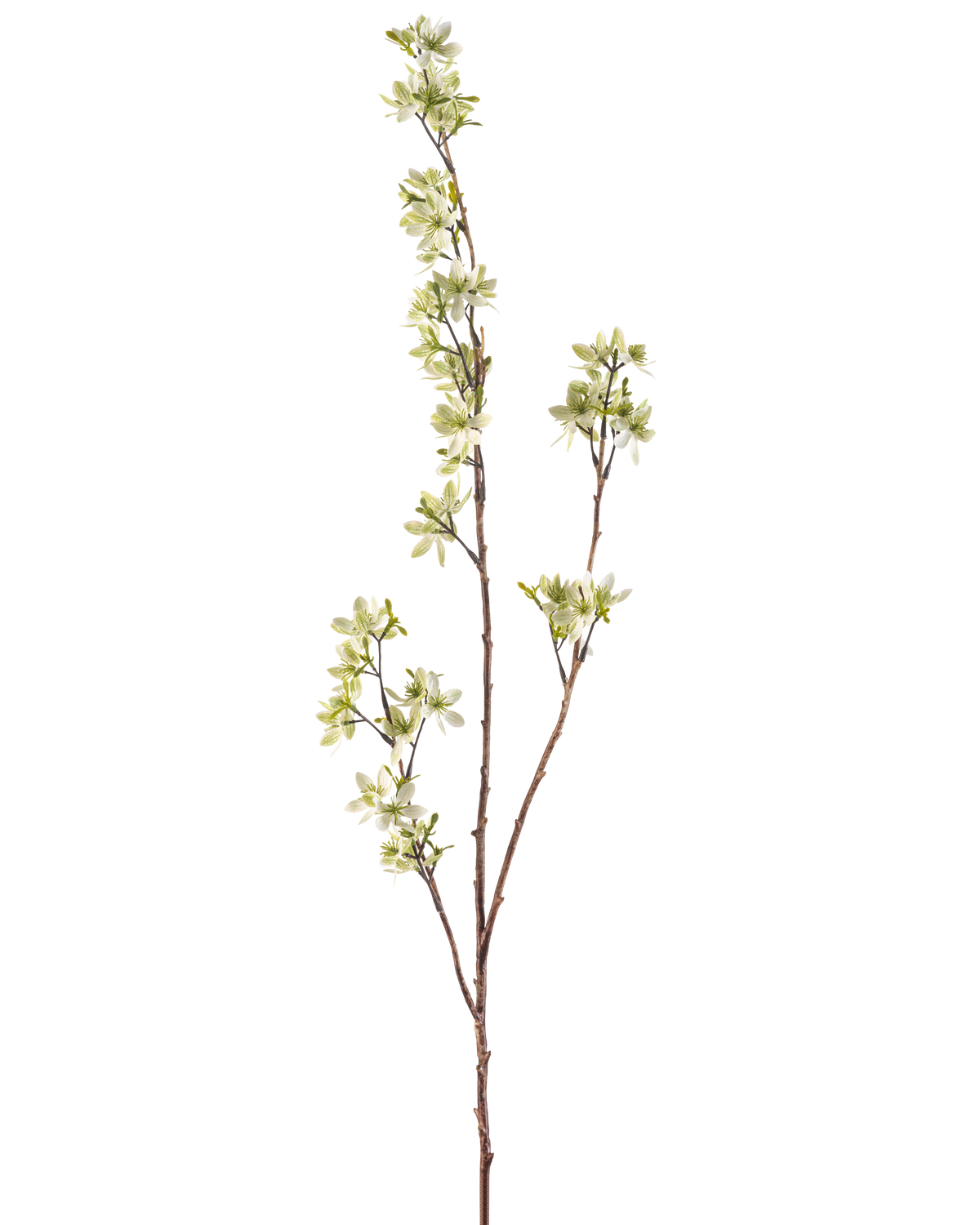 De Kunstbloem Bloemen 102 cm groen heeft een enkele hoge steel met meerdere dunne uitlopers, versierd met trosjes kleine witte en lichtgroene bloemen, tegen een effen witte achtergrond.