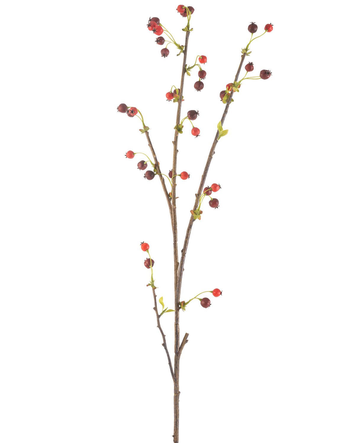 De Kunstbloem Rozenbottel 112 cm rood heeft een enkele bruine tak met kleine rode en donkerpaarse besjes en een paar lichtgroene blaadjes, tegen een effen witte achtergrond.