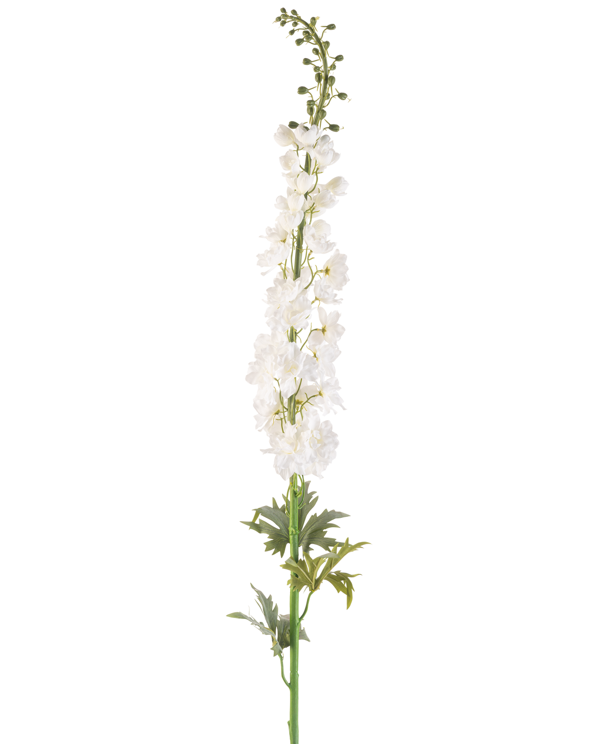 De Kunstbloem Ridderspoor 137 cm wit is een hoge kunstspoorstengel met meerdere kleine witte bloemen over de lengte en groene bladeren aan de basis, tegen een effen witte achtergrond.