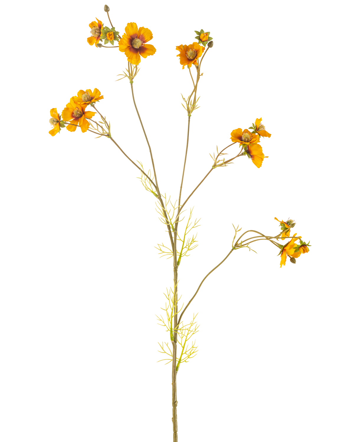 De Kunstbloem Cosmos 95 cm geel heeft een enkele hoge steel met dunne takken, elk versierd met trossen helder oranje-gele bloemen en delicate groene bladeren, tegen een effen witte achtergrond.