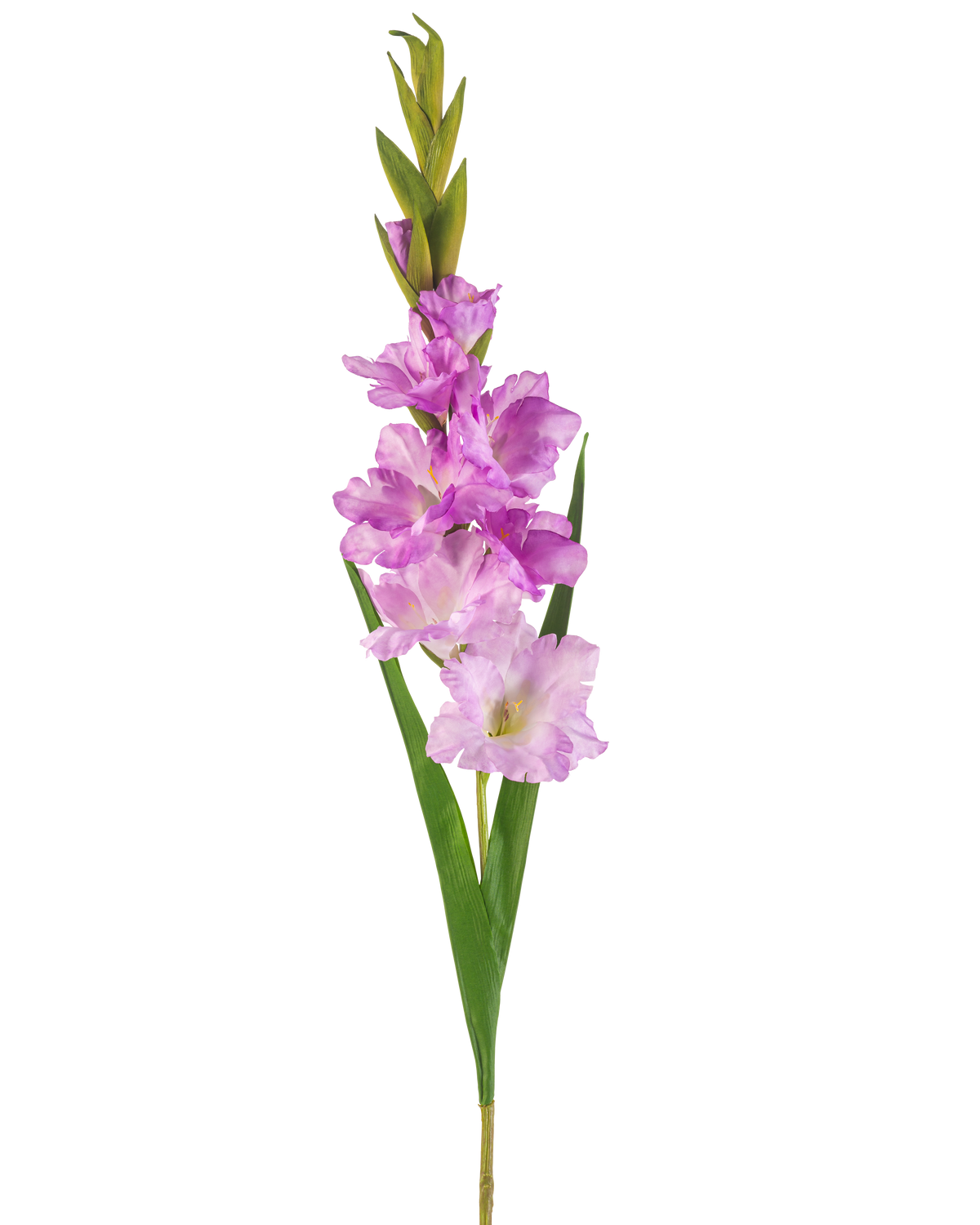 Een enkele Kunstbloem Gladiolen stengel van 93 cm met meerdere roze en lichtpaarse bloemen met lange groene bladeren, geïsoleerd op een witte achtergrond.